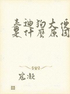 泰迪狗大便带血是什么原因