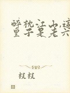 醉枕江山,这个皇子是老六原著作者