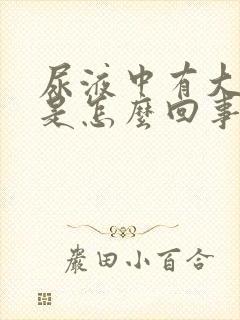 尿液中有大泡沫是怎么回事