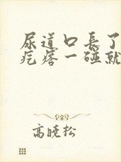 尿道口长了一个疙瘩一碰就疼