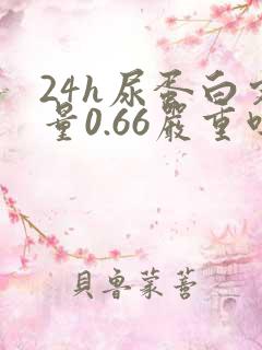 24h尿蛋白定量0.66严重吗