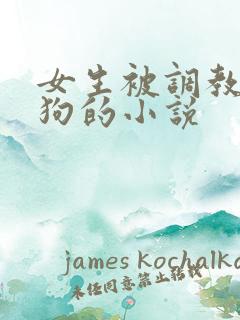 女生被调教成母狗的小说