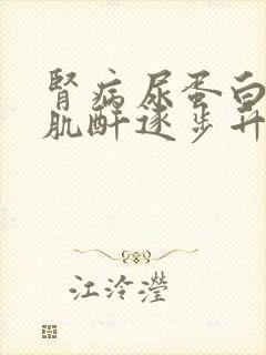 肾病尿蛋白转阴肌酐逐步升高