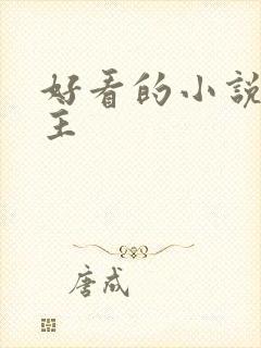 好看的小说双女主