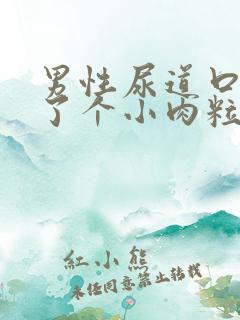 男性尿道口边长了个小肉粒