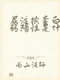 尿液检查白细胞弱阳性是什么原因