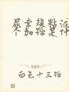 尿常规粘液丝一个加号是什么意思