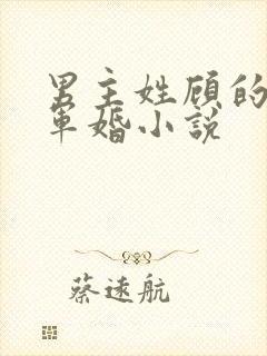 男主姓顾的所有军婚小说