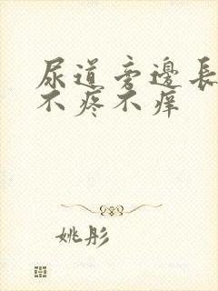 尿道旁边长疙瘩不疼不痒