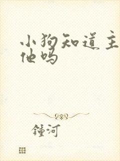 小狗知道主人爱他吗