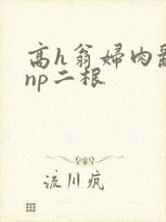 高h翁妇肉乱文np二根