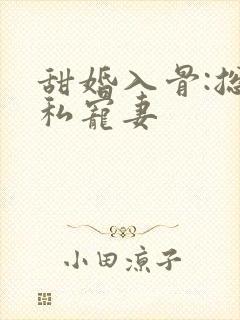 甜婚入骨:总裁私宠妻