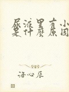 尿液里有小泡泡是什么原因