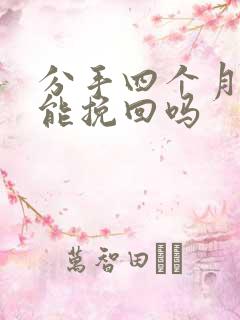 分手四个月了还能挽回吗