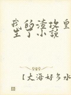 我的渣攻皇帝重生了小说