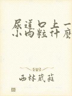 尿道口上一点有小肉粒什么情况