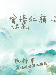 官场红颜 小说 江风