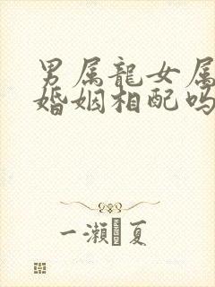 男属龙女属蛇的婚姻相配吗