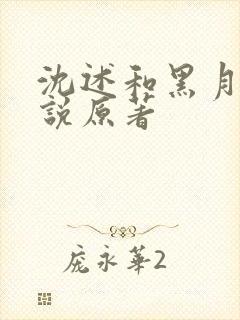 沈述和黑月光小说原著