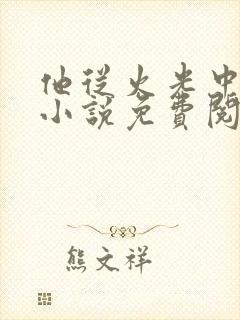 他从火光中走来小说免费阅读