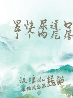 男性尿道口上长了个肉疙瘩怎么回事