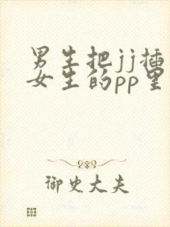 男生把jj插入女生的pp里