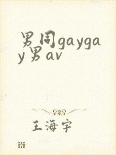 男同gaygay男av