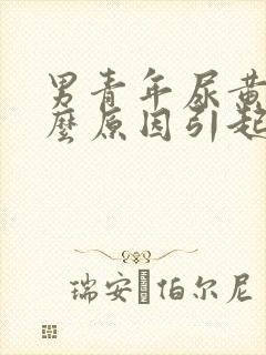 男青年尿黄是什么原因引起的