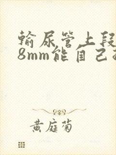 输尿管上段结石8mm能自己排出吗