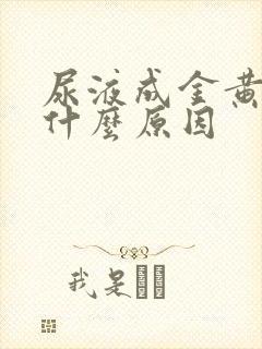 尿液成金黄色是什么原因