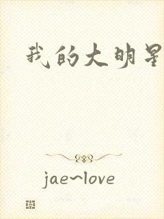我的大明星老婆