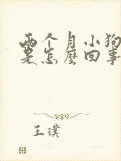 两个月小狗尿黄是怎么回事