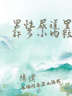 男性尿道里长了许多小肉粒