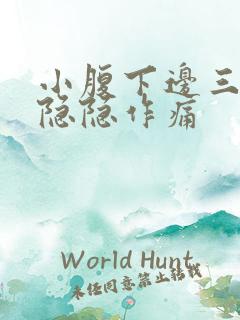 小腹下边三角区隐隐作痛