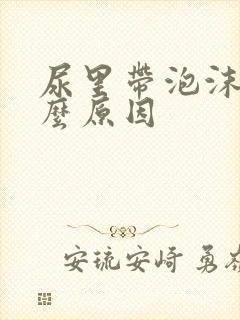 尿里带泡沫是什么原因