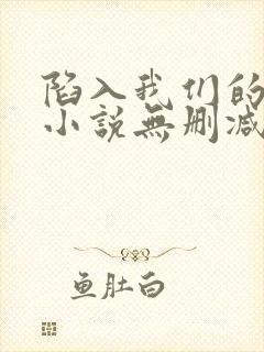 陷入我们的热恋小说无删减正版在线阅读