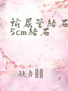 输尿管结石0.5cm结石