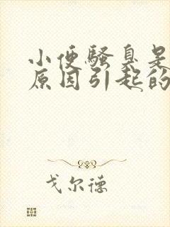 小便骚臭是什么原因引起的