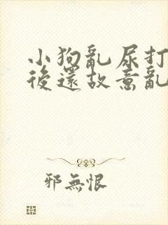 小狗乱尿打了之后还故意乱拉