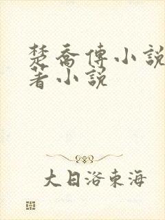 楚乔传小说2原著小说