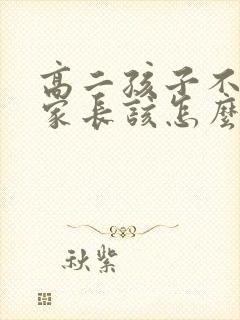 高二孩子不上学家长该怎么引导