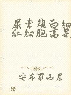 尿常规白细胞和红细胞高是怎么回事