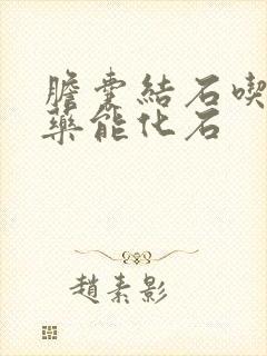 胆囊结石吃什么药能化石