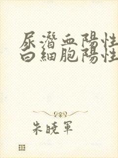 尿潜血阳性和尿白细胞阳性怎么回事