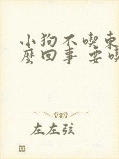 小狗不吃东西怎么回事 要吃什么药