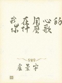 我在用心的爱着你什么歌