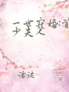 一世宠婚:首席少夫人