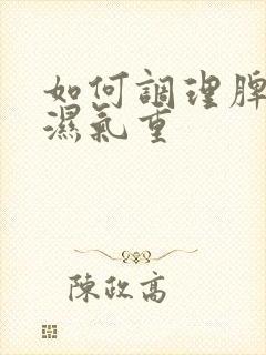 如何调理脾胃虚湿气重