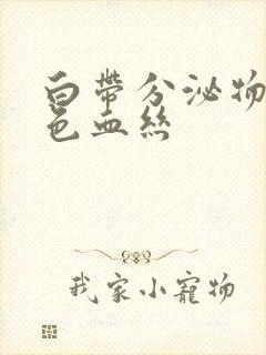 白带分泌物带黑色血丝