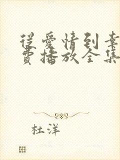 从爱情到幸福免费播放全集高清版电视剧